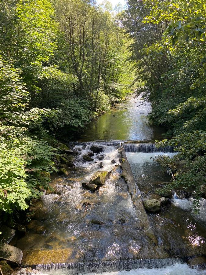 Mountain Bratkow 10e *